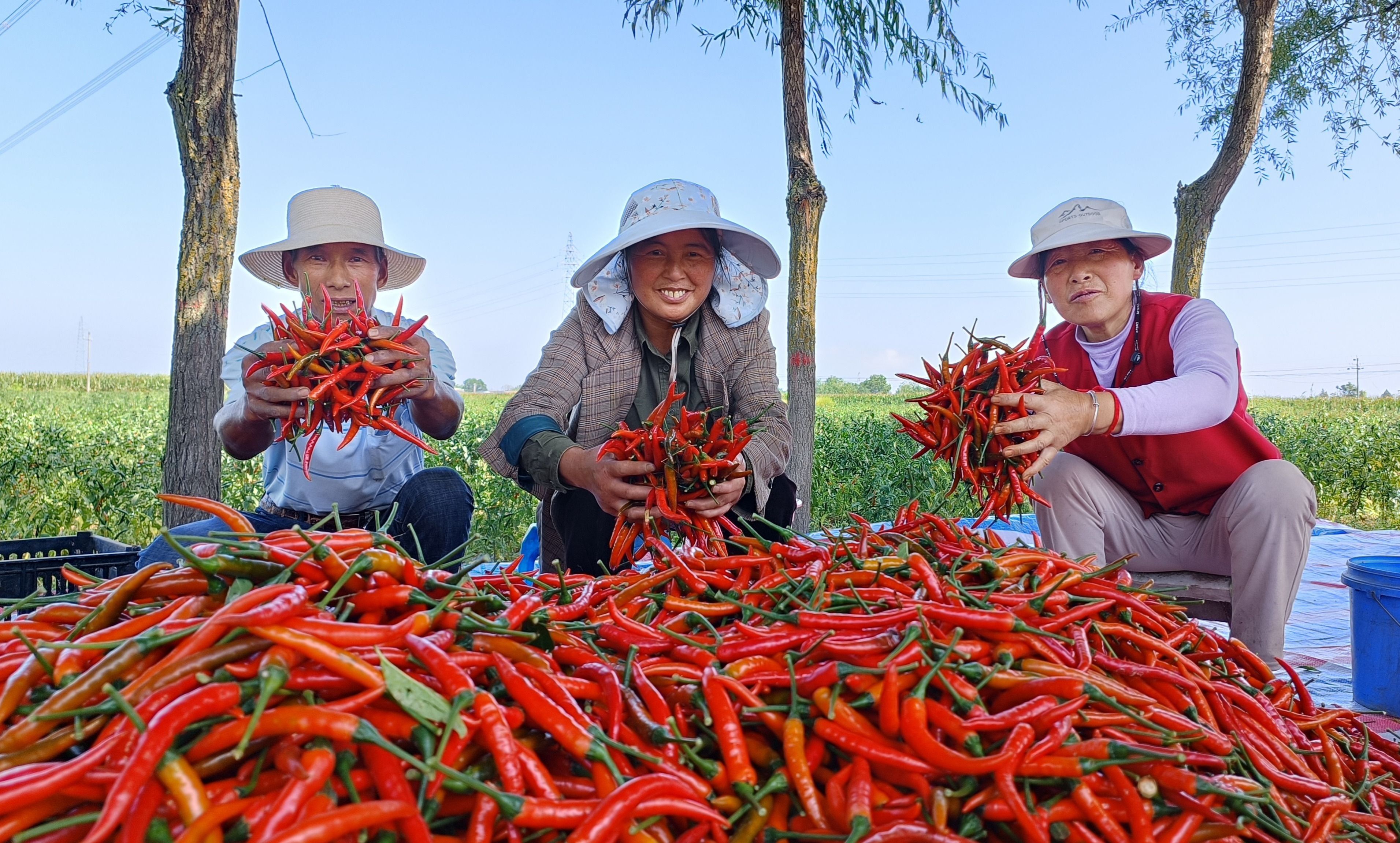 微信图片_20250902083800_67_382